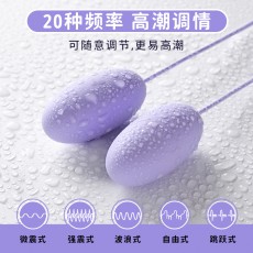 劳乐斯USB尖圆双圆跳蛋变频震动女用自慰器情趣成人用品批发代发